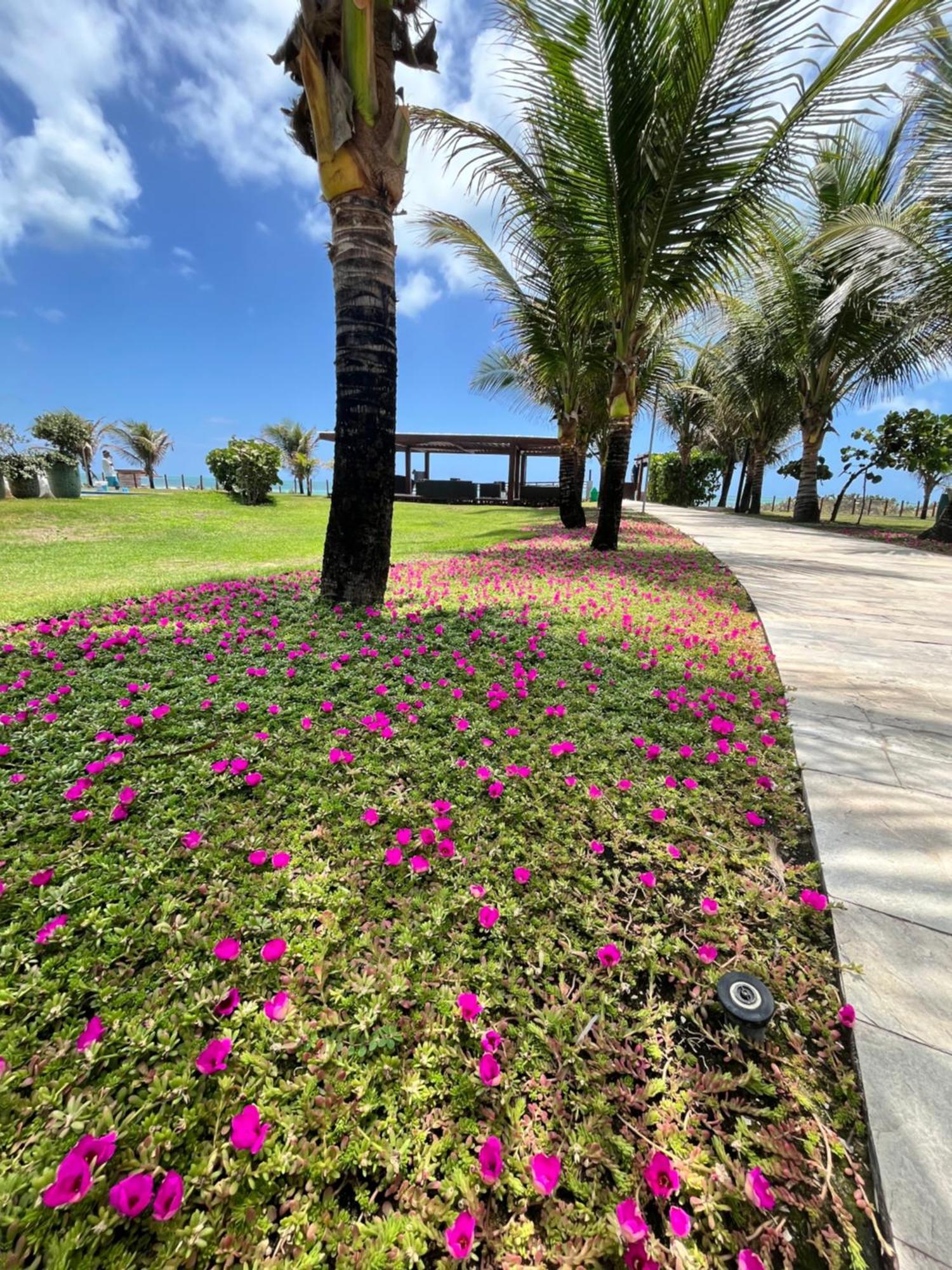 Resort Beira Mar Em Porto De Galinhas - Cupe Beach Living Eksteriør billede
