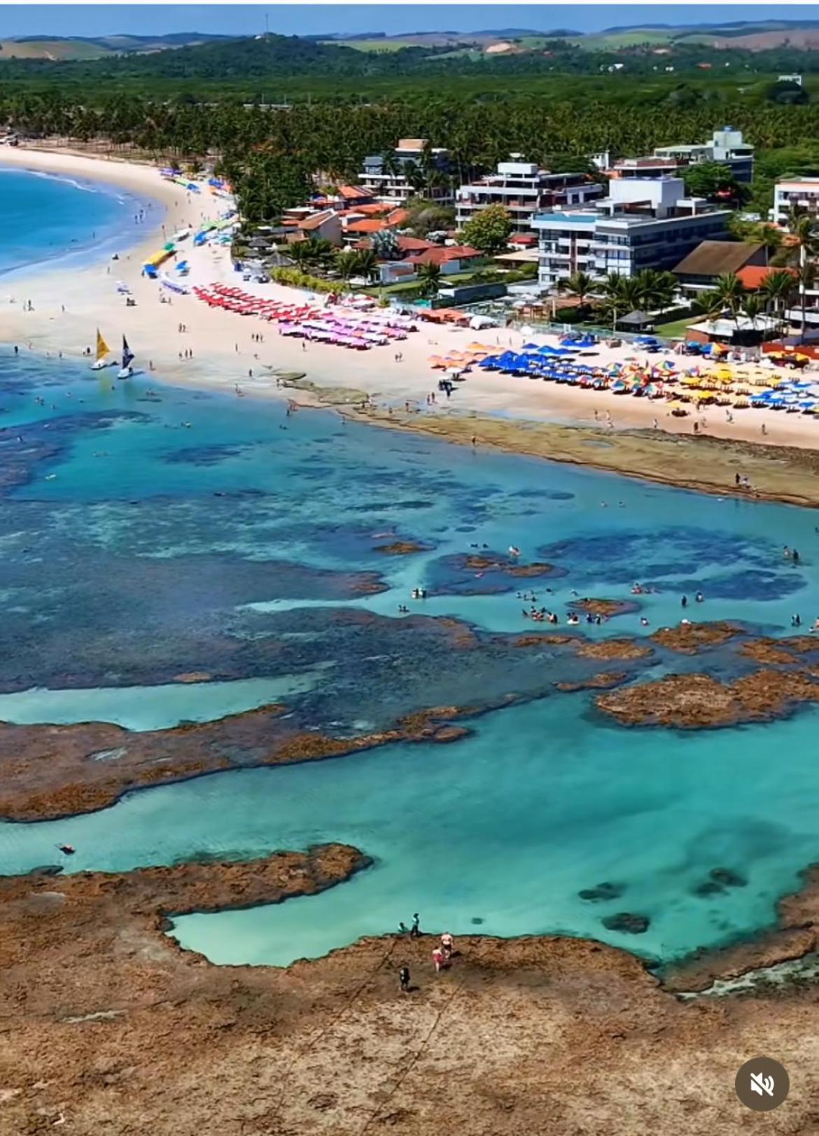 Resort Beira Mar Em Porto De Galinhas - Cupe Beach Living Eksteriør billede